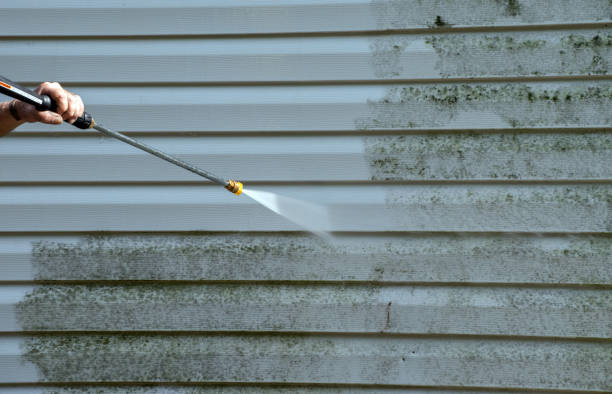 Best Mold Testing  in Milton, WA