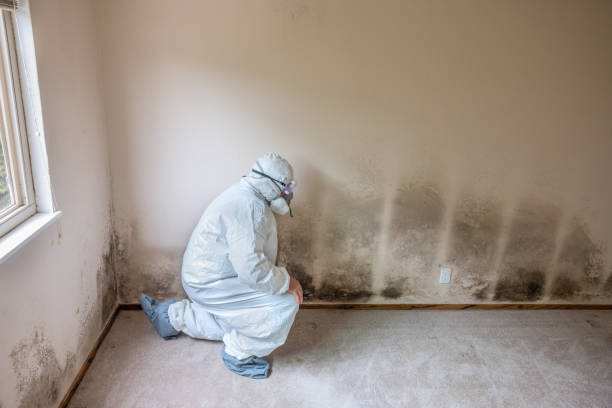 Best Mold Remediation Services  in Milton, WA
